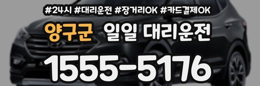 양구군 일일 대리운전