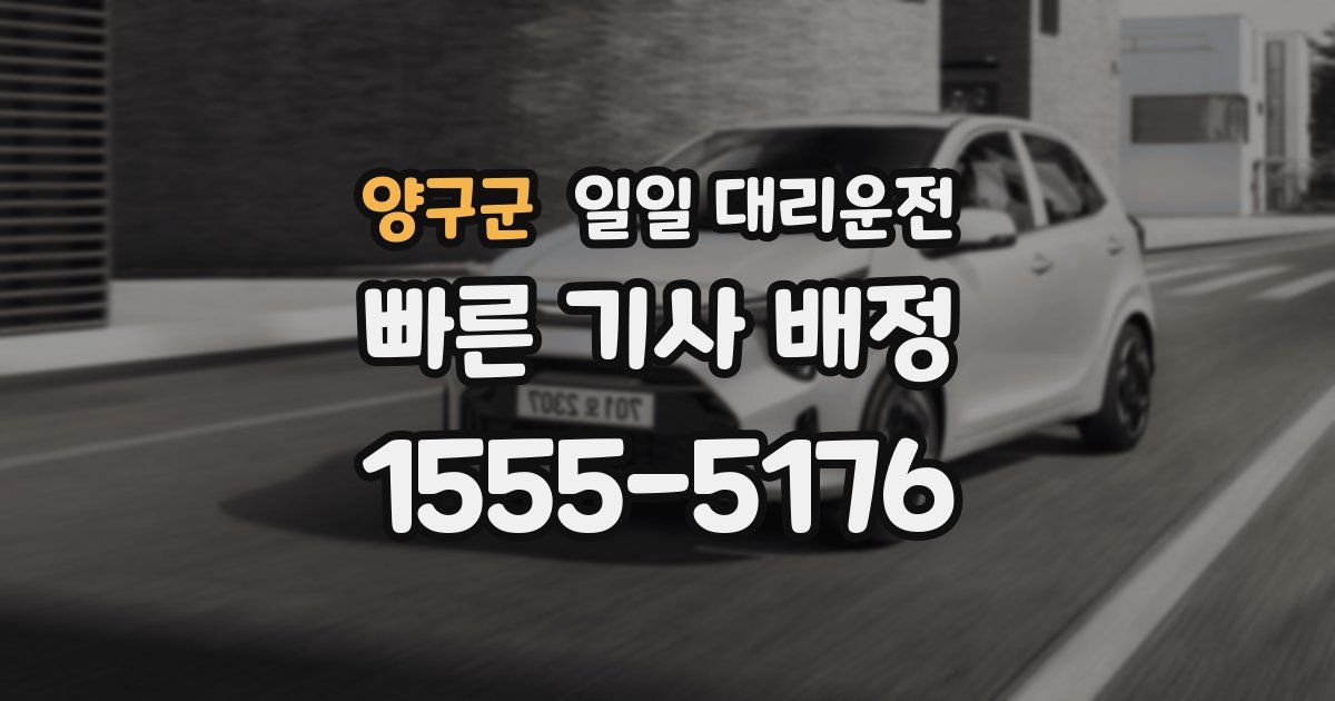 양구군 일일 대리운전