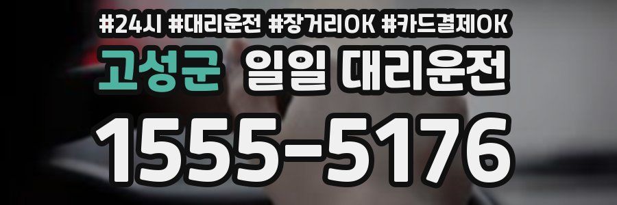 고성군 일일 대리운전