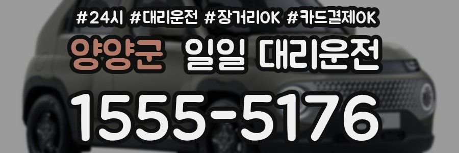 양양군 일일 대리운전