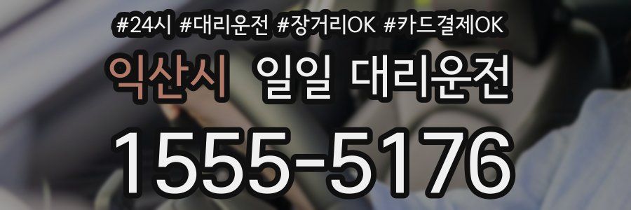 익산시 일일 대리운전