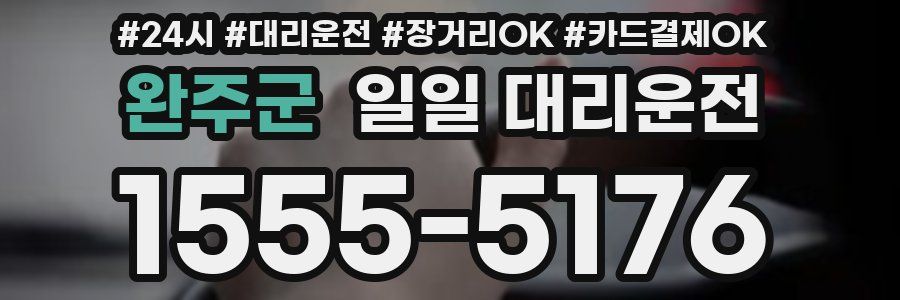 완주군 일일 대리운전