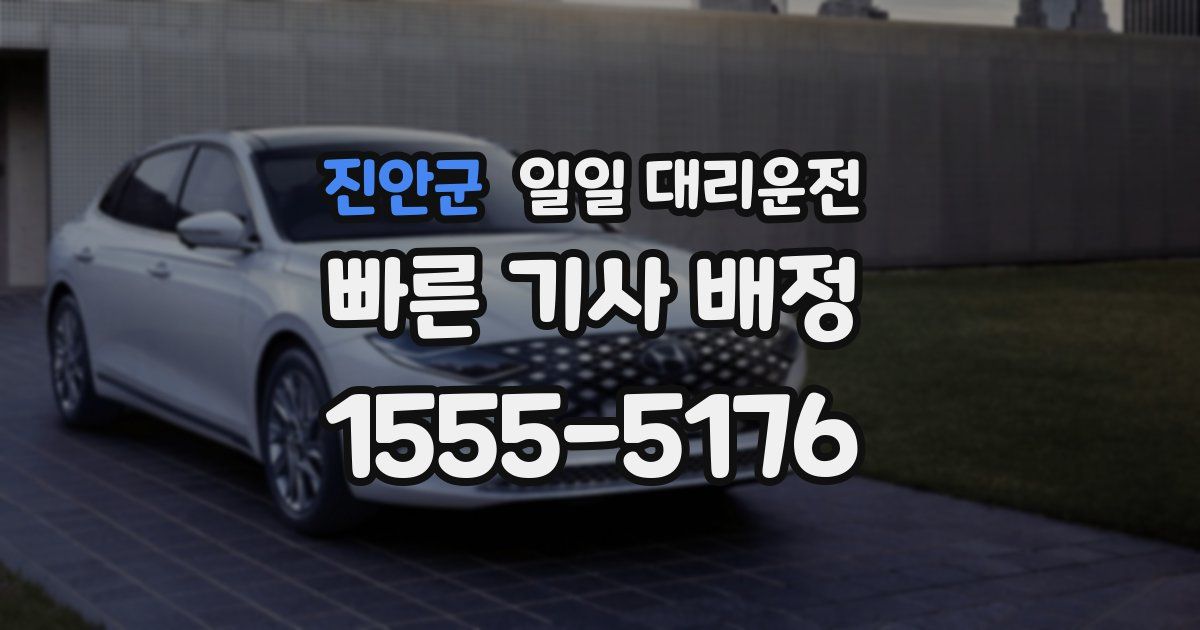 진안군 일일 대리운전