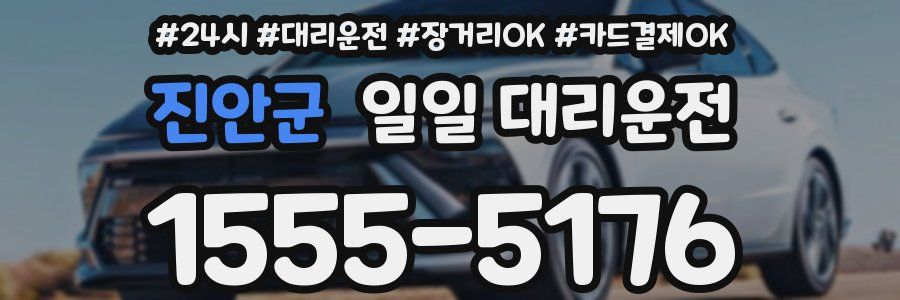 진안군 일일 대리운전