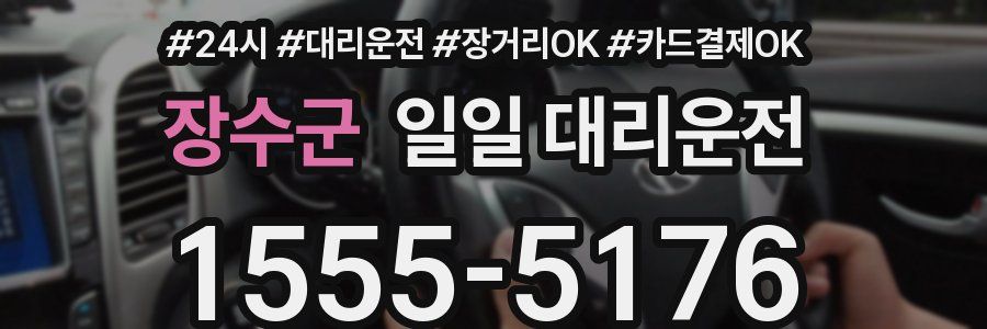 장수군 일일 대리운전