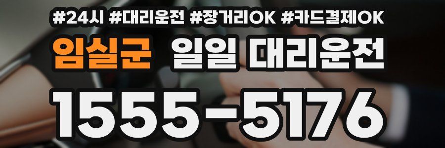 임실군 일일 대리운전