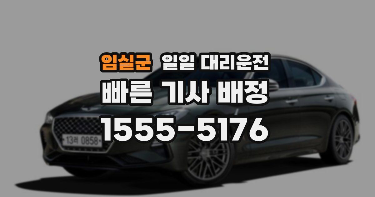 임실군 일일 대리운전
