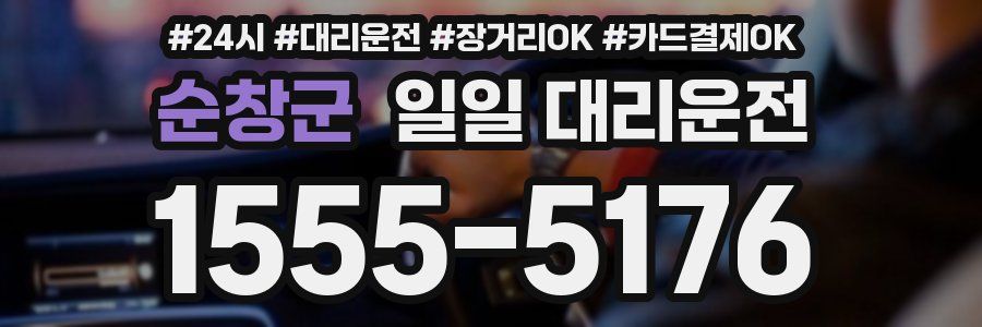 순창군 일일 대리운전