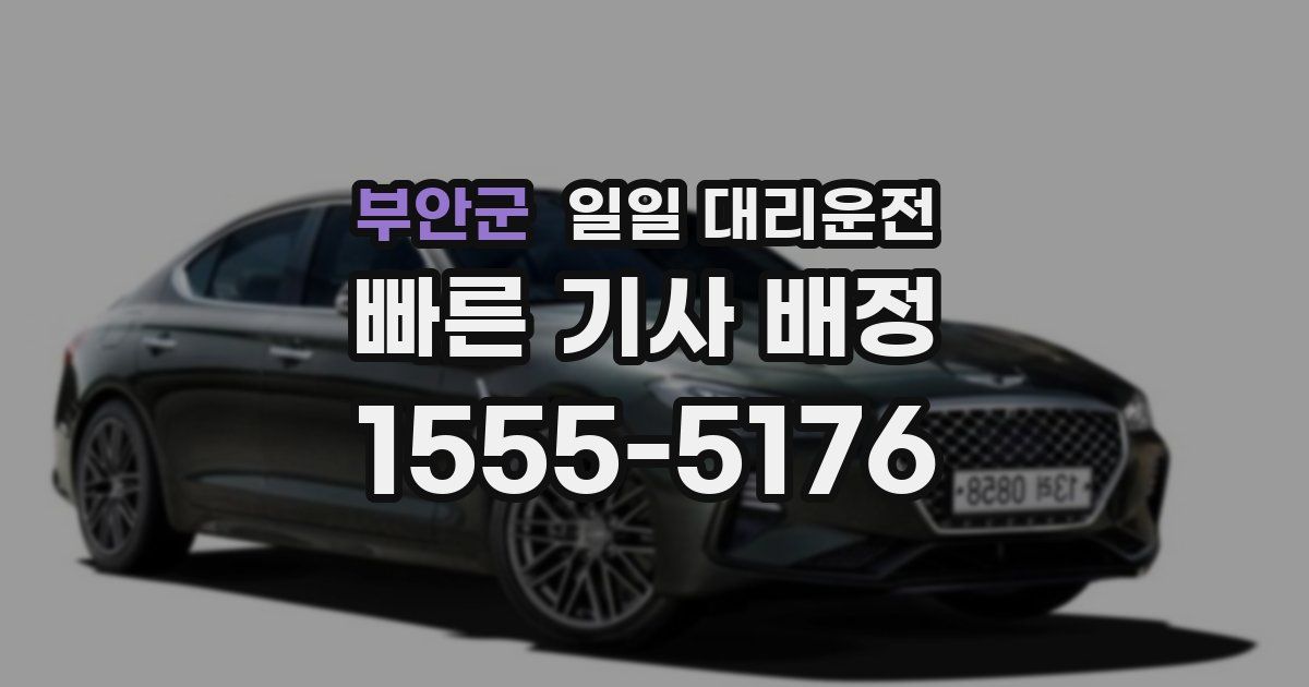부안군 일일 대리운전