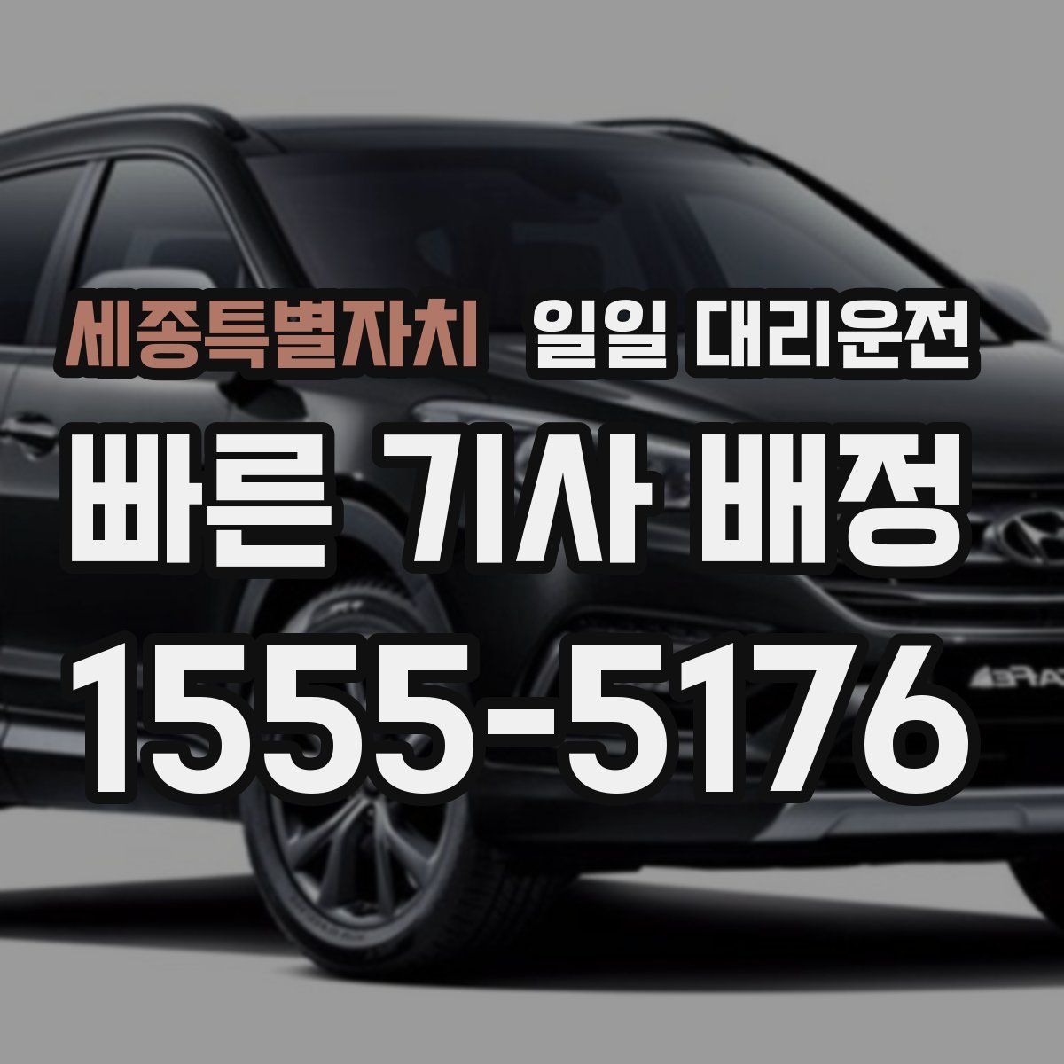 세종특별자치 일일 대리운전