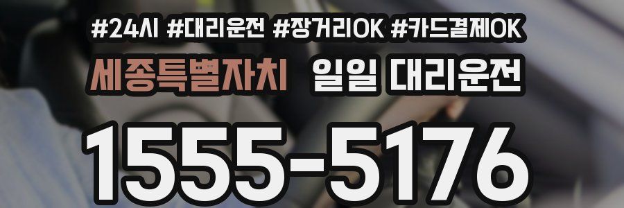 세종특별자치 일일 대리운전