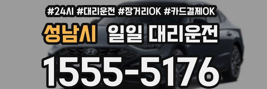 성남시 일일 대리운전