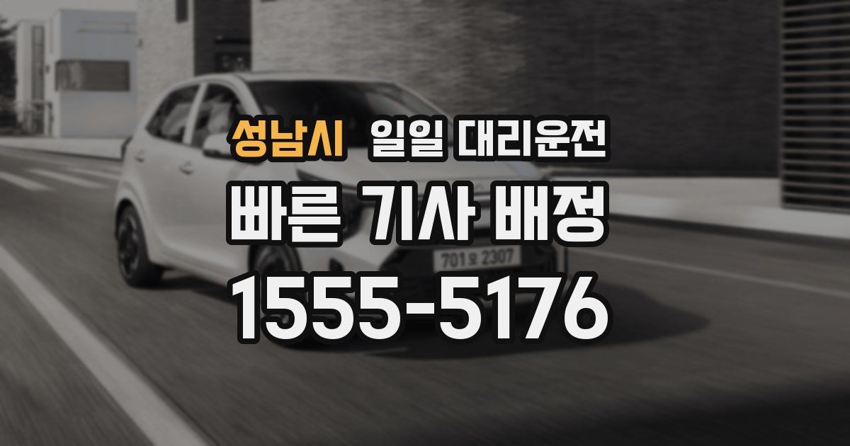 성남시 일일 대리운전