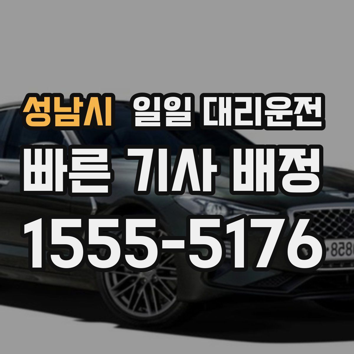 성남시 일일 대리운전