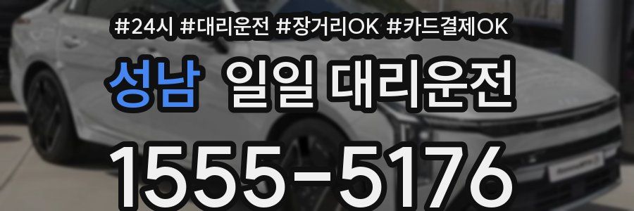 성남 일일 대리운전
