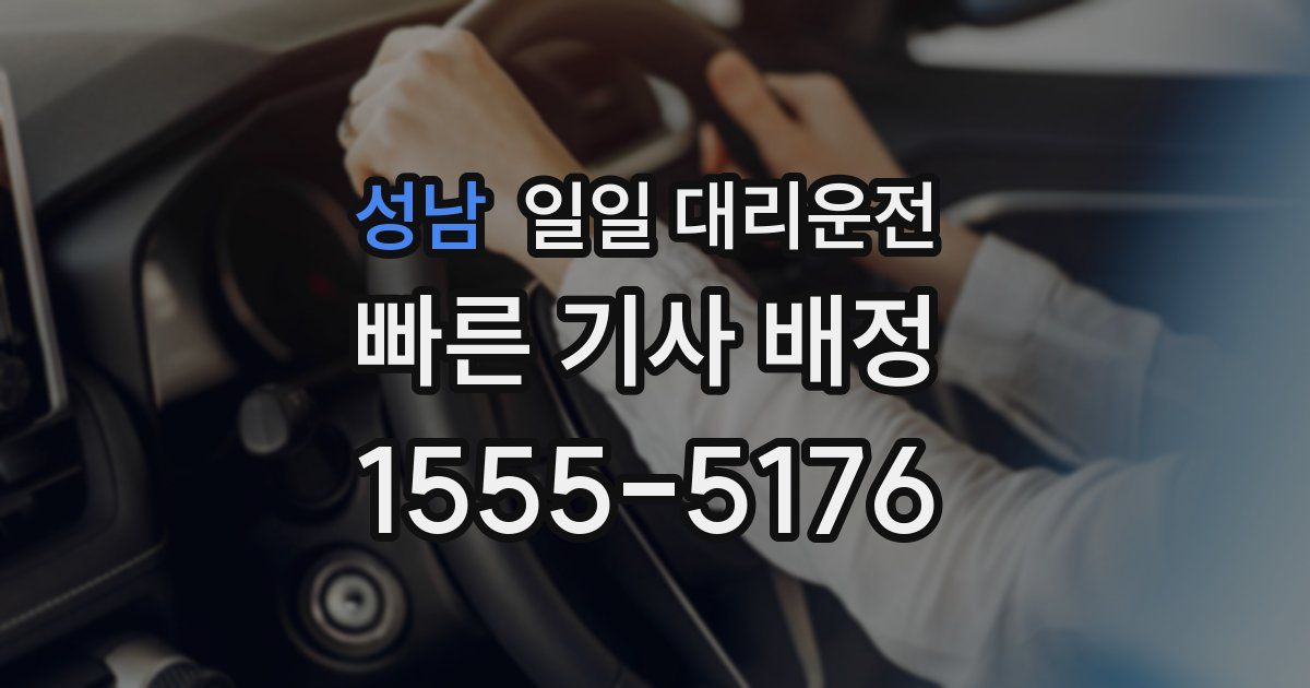 성남 일일 대리운전