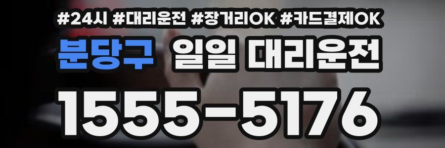 분당구 일일 대리운전