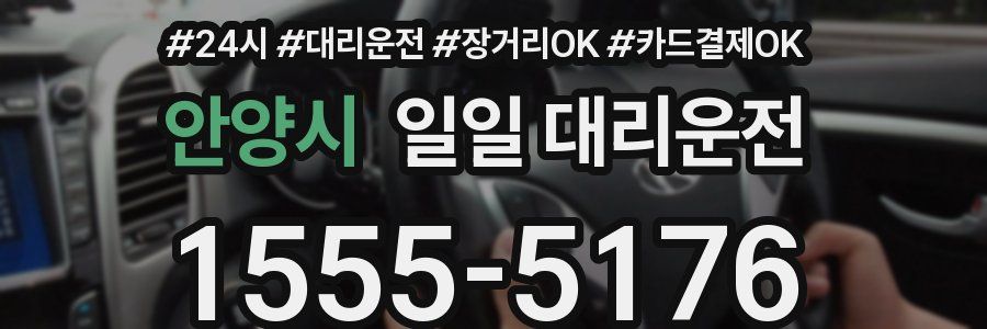 안양시 일일 대리운전