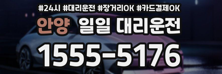 안양 일일 대리운전