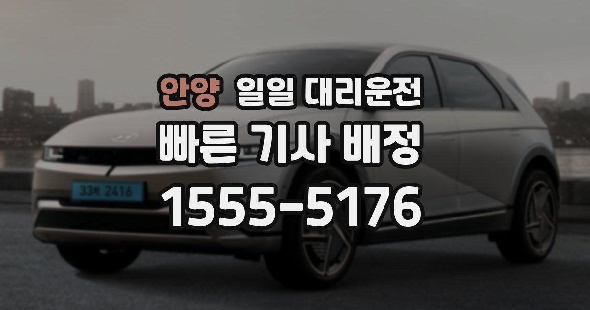 안양 일일 대리운전