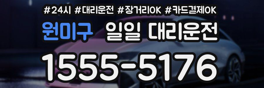 원미구 일일 대리운전