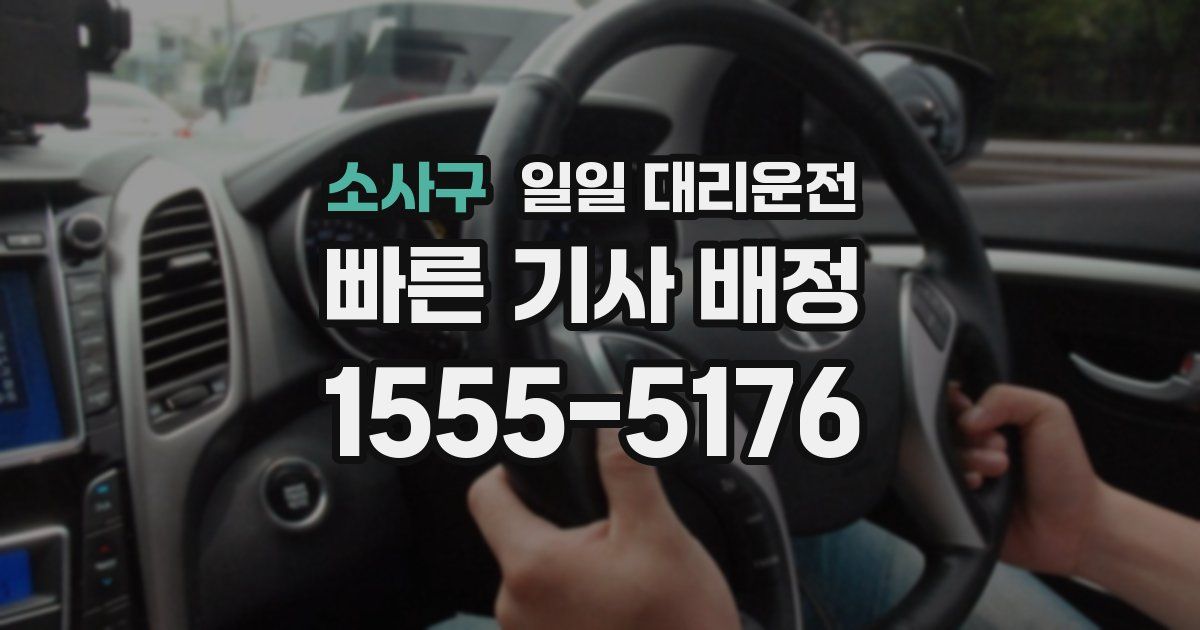 소사구 일일 대리운전