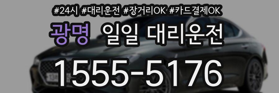 광명 일일 대리운전