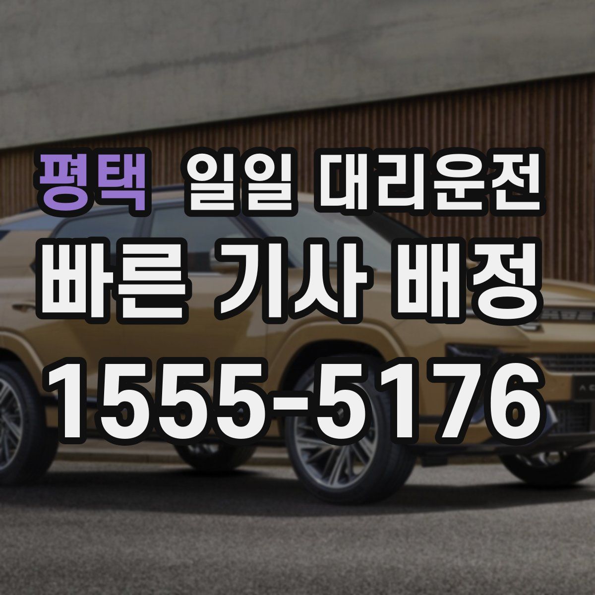 평택 일일 대리운전