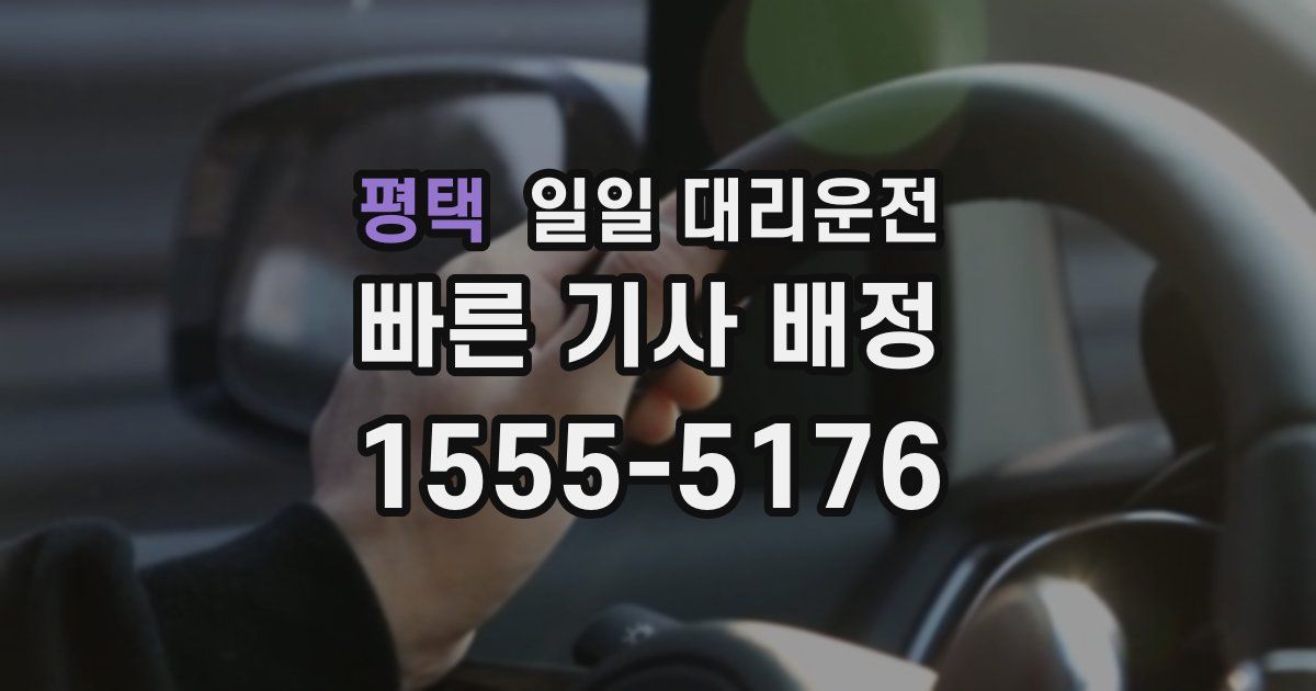 평택 일일 대리운전