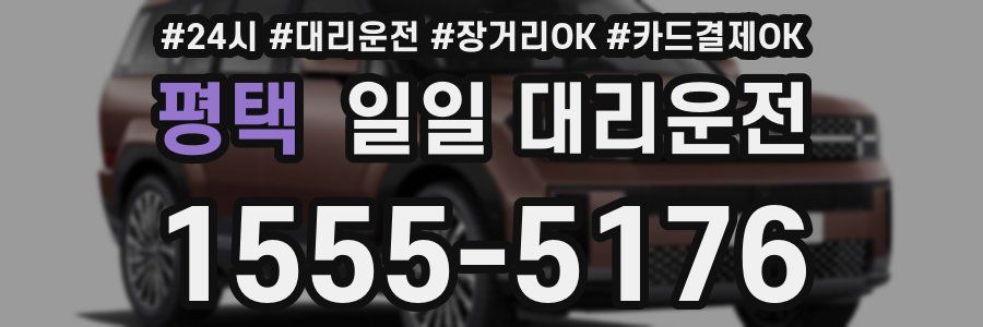 평택 일일 대리운전