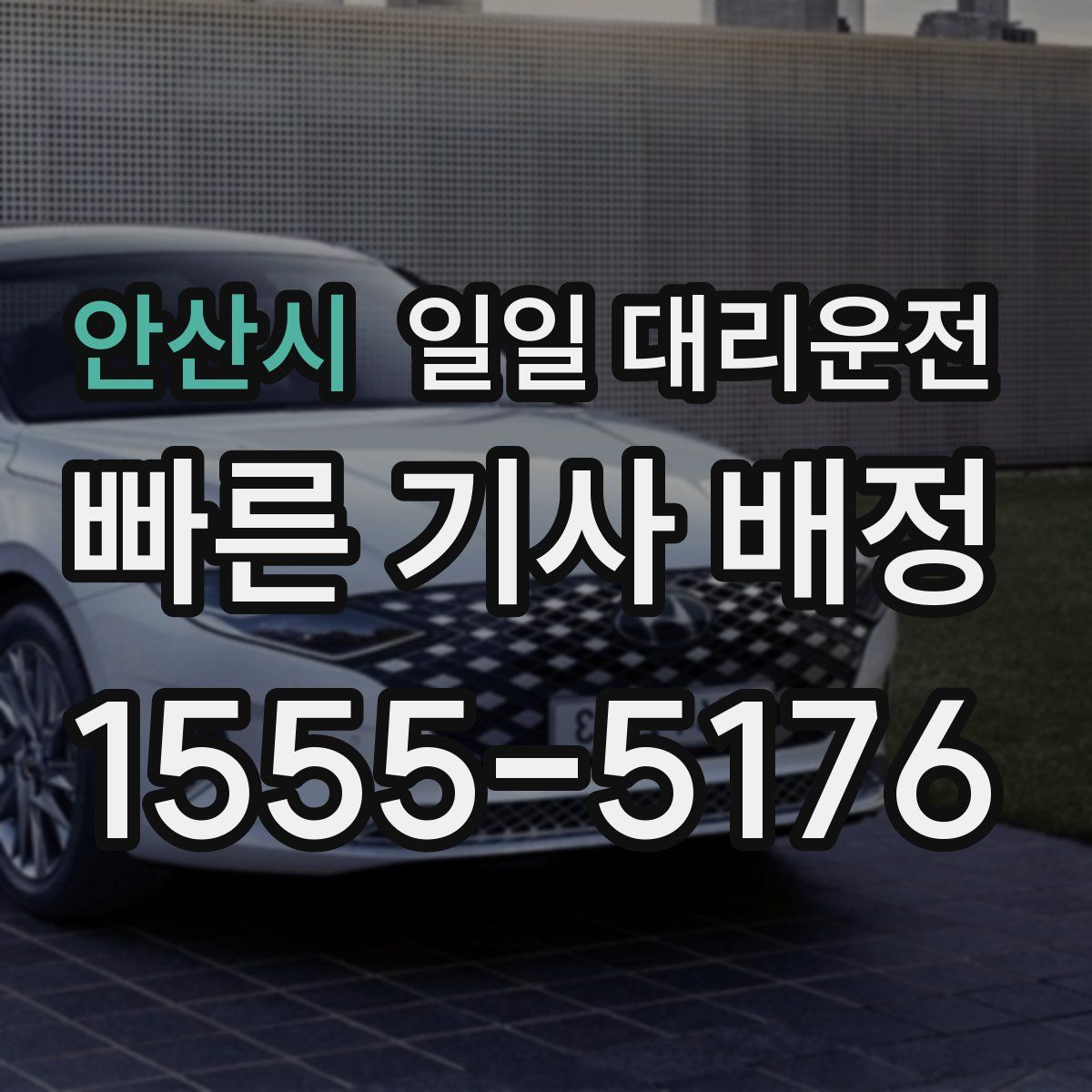 안산시 일일 대리운전