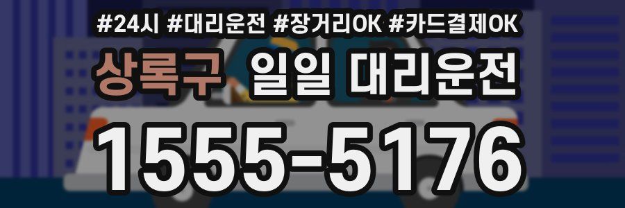 상록구 일일 대리운전