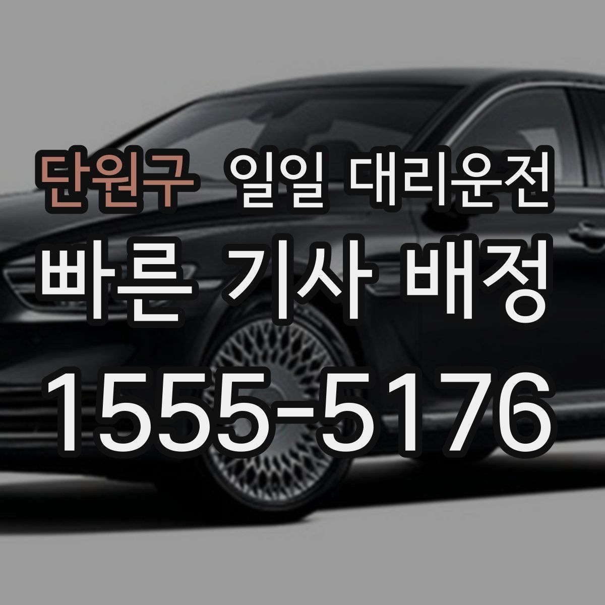 단원구 일일 대리운전