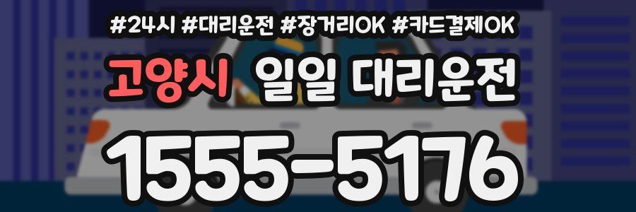 고양시 일일 대리운전