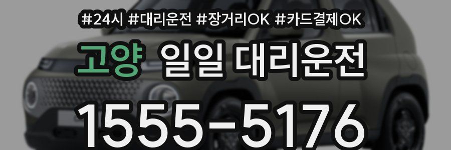 고양 일일 대리운전