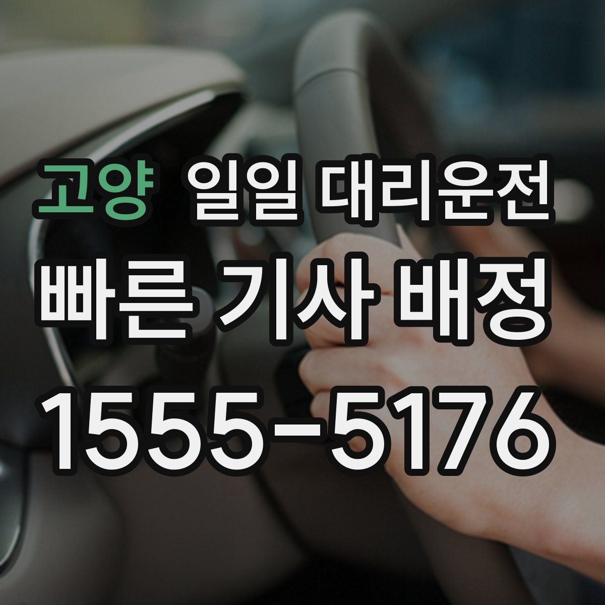 고양 일일 대리운전