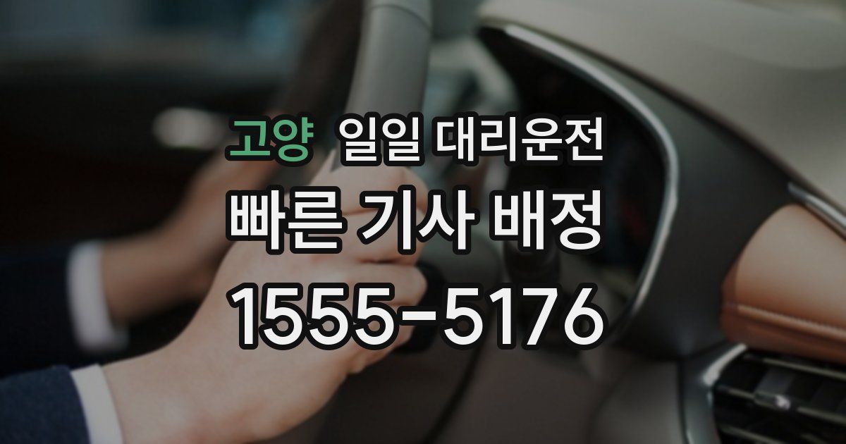 고양 일일 대리운전