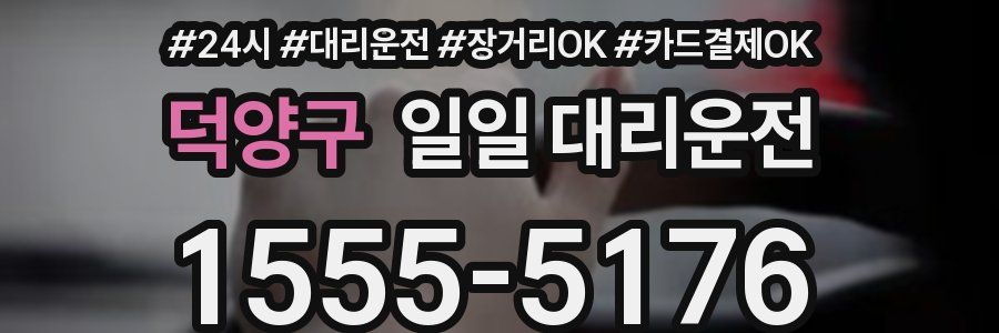 덕양구 일일 대리운전