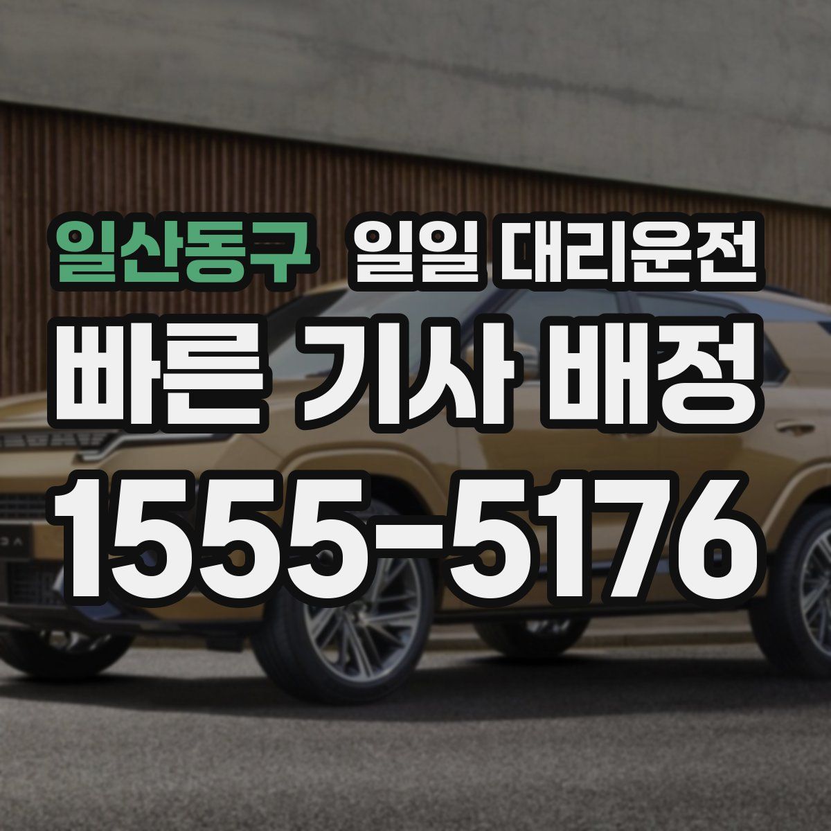 일산동구 일일 대리운전
