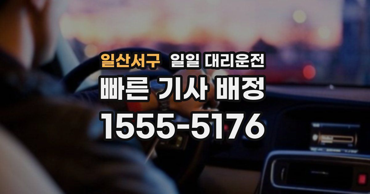 일산서구 일일 대리운전