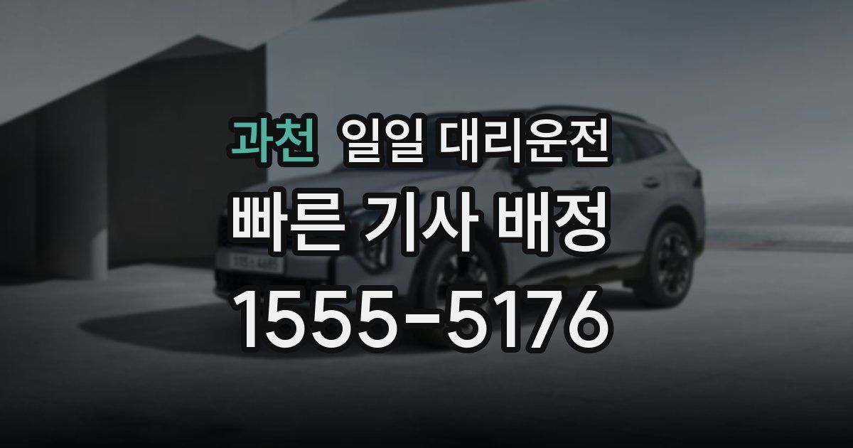 과천 일일 대리운전