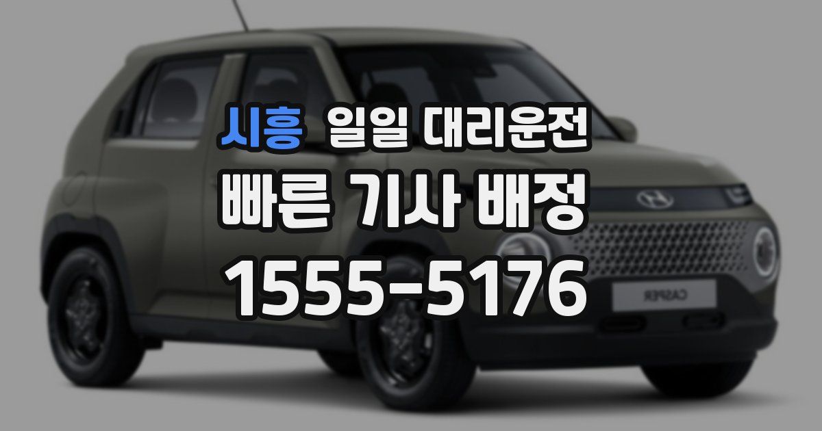 시흥 일일 대리운전