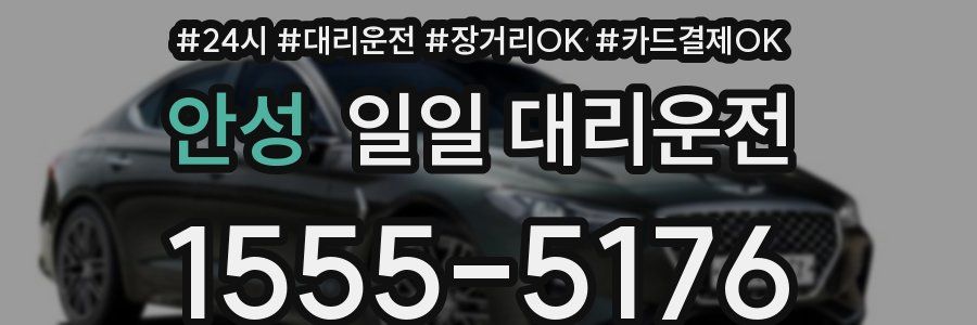 안성 일일 대리운전