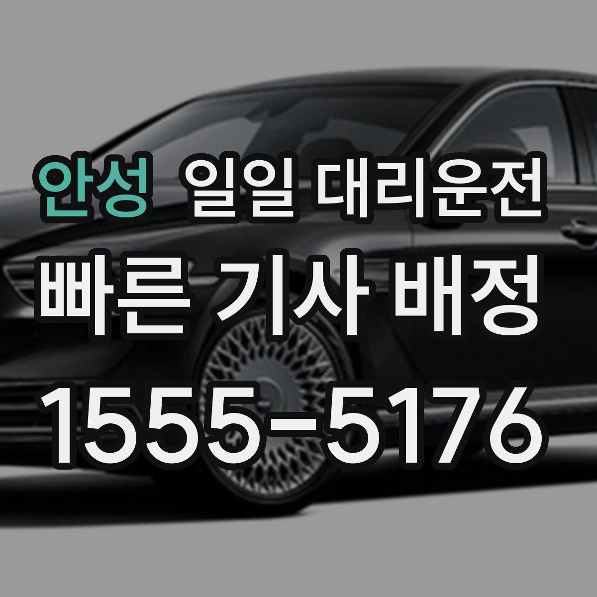 안성 일일 대리운전