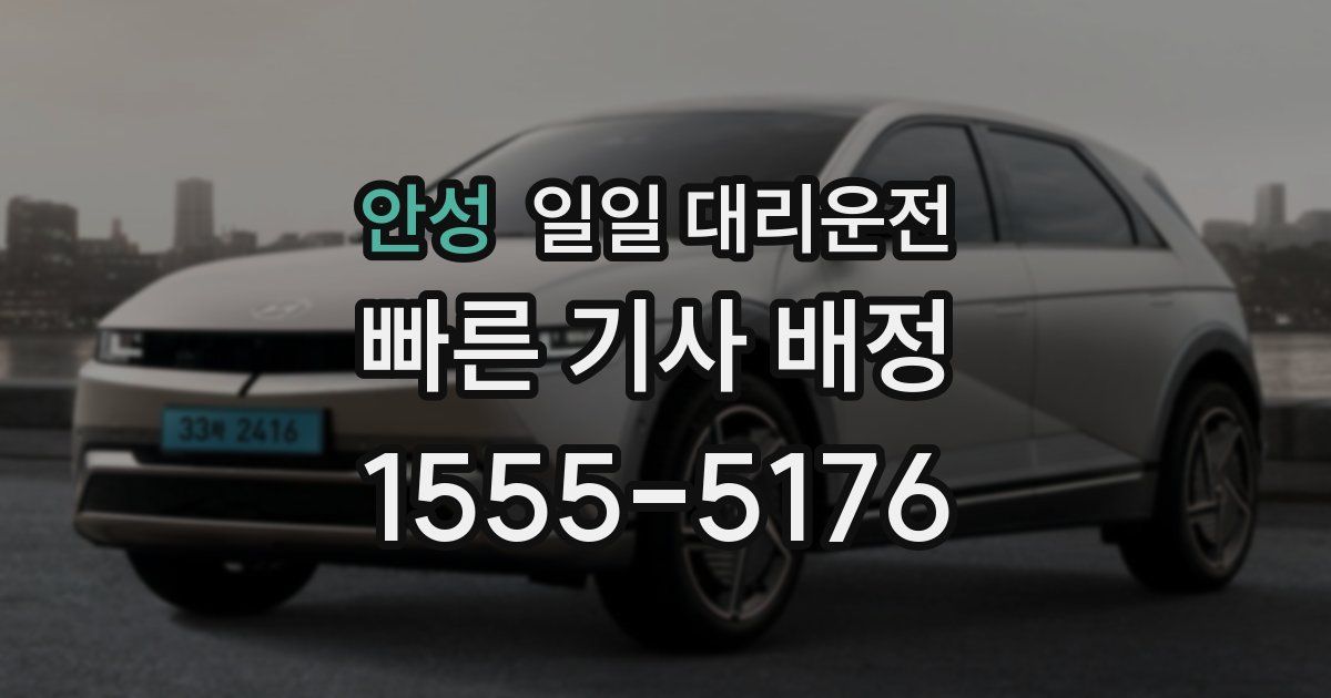 안성 일일 대리운전