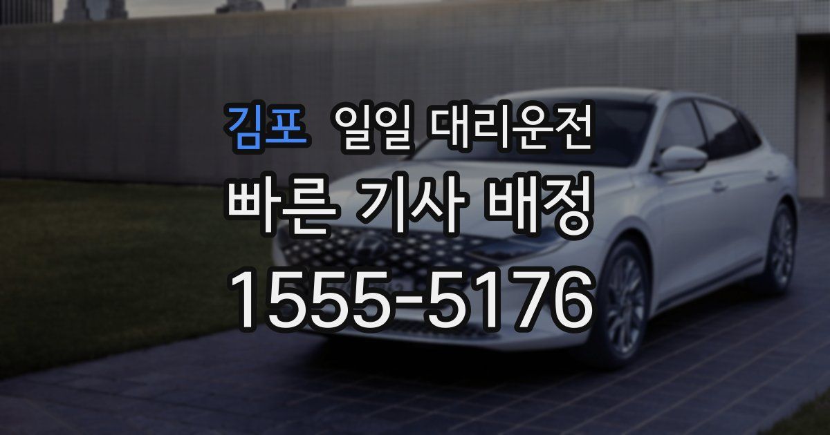 김포 일일 대리운전