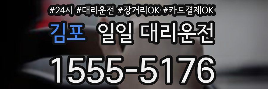 김포 일일 대리운전