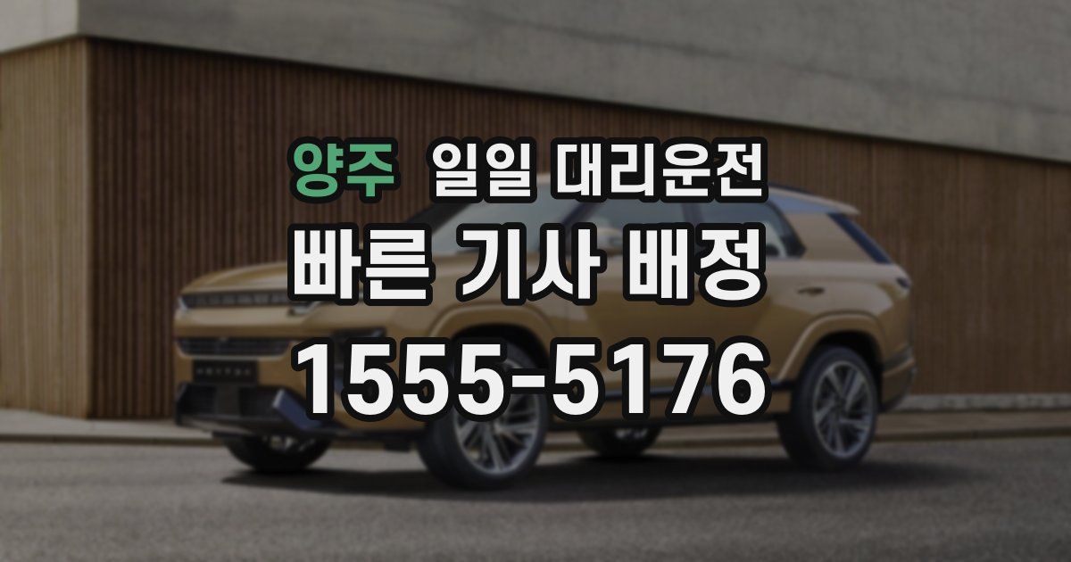 양주 일일 대리운전