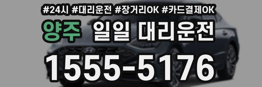 양주 일일 대리운전