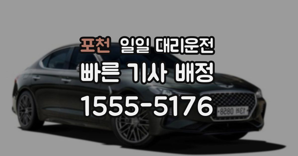 포천 일일 대리운전